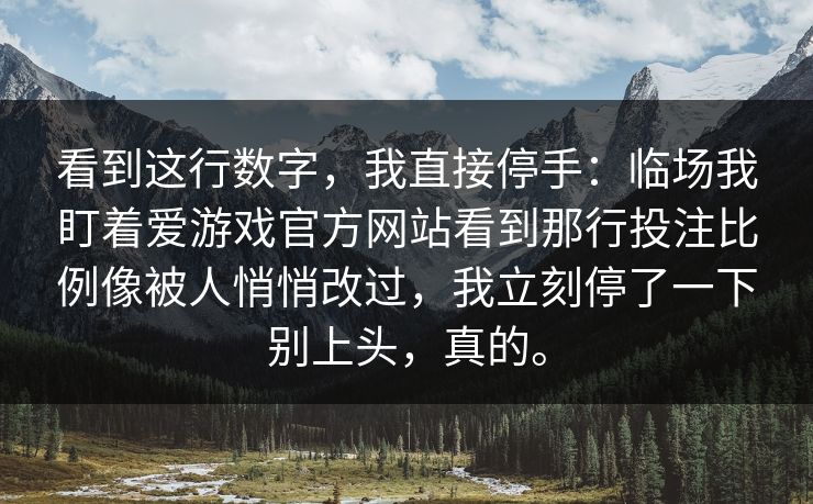 看到这行数字，我直接停手：临场我盯着爱游戏官方网站看到那行投注比例像被人悄悄改过，我立刻停了一下别上头，真的。